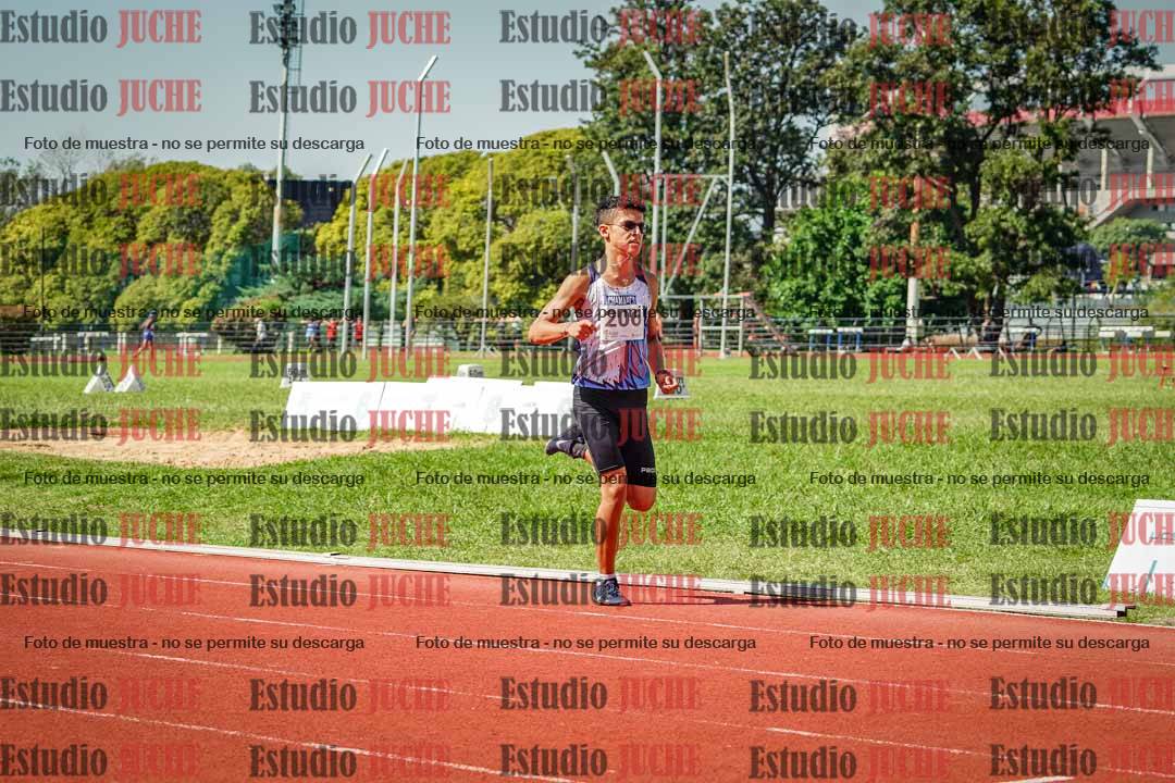 Fotos de los 800 m llanos de varones