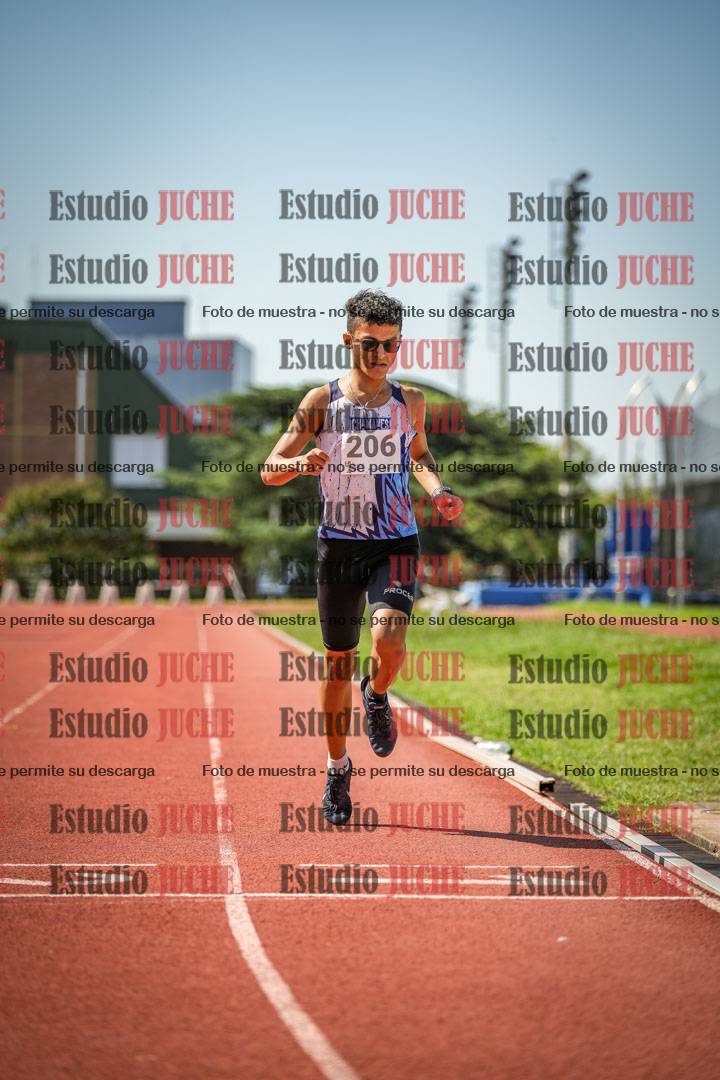 Fotos de los 800 m llanos de varones