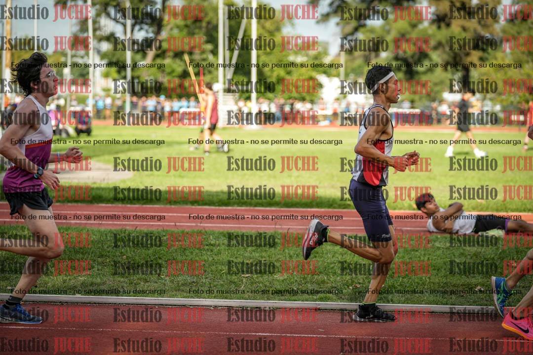 Fotos de los 5000 m llanos