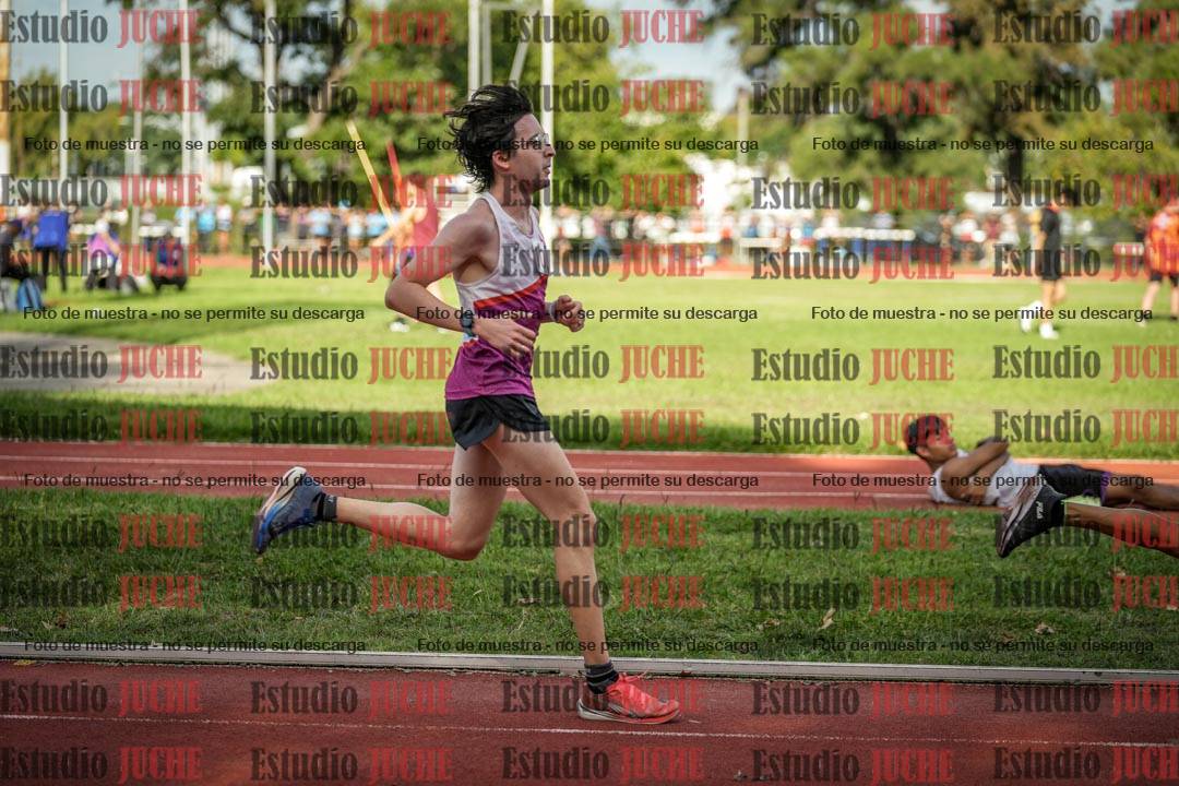 Fotos de los 5000 m llanos