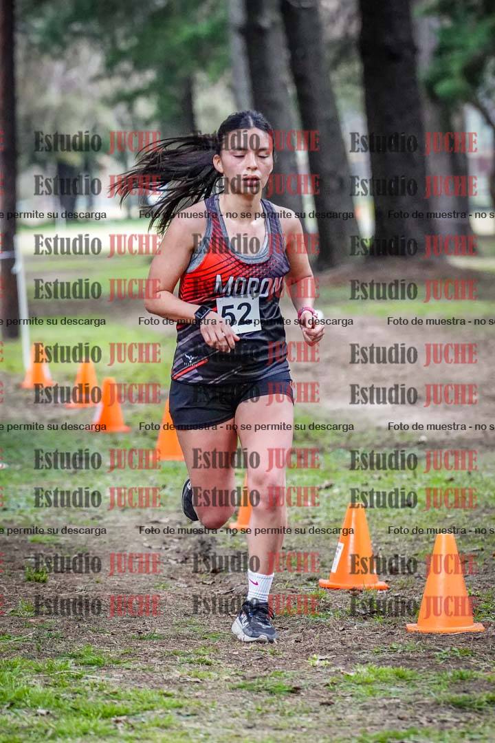 Fotos en el circuito