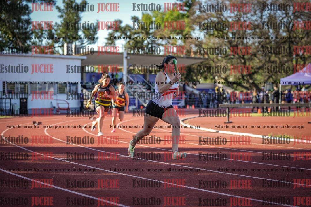 Fotos de las Postas 4x100 m de mujeres