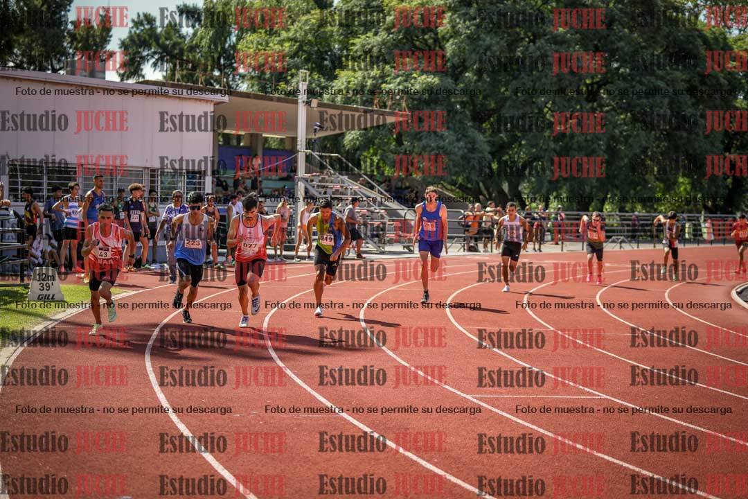Fotos de los 800 m llanos de varones