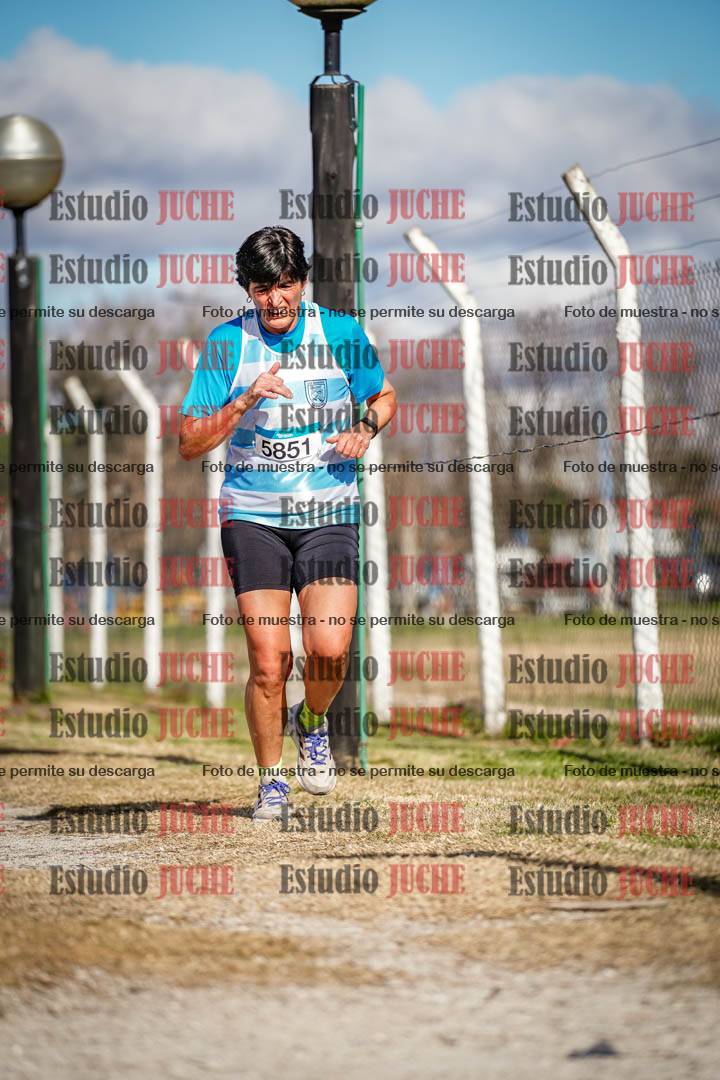 Fotos en el circuito