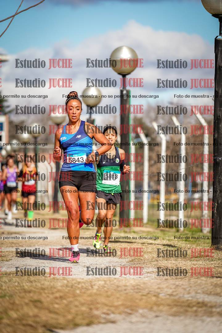 Fotos en el circuito
