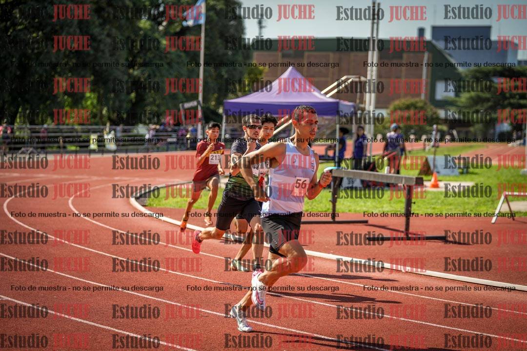 Fotos de los 800 m llanos de varones