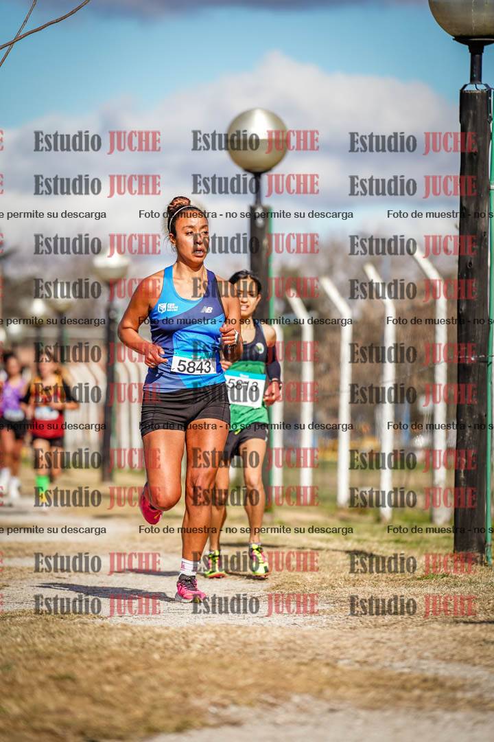 Fotos en el circuito