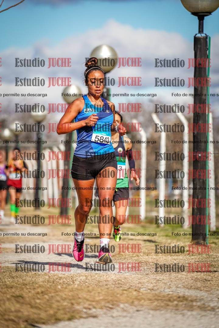 Fotos en el circuito