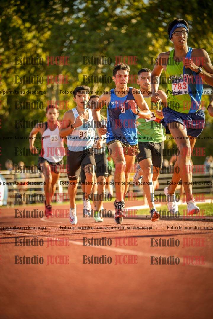 Fotos de los 3000 m llanos de varones