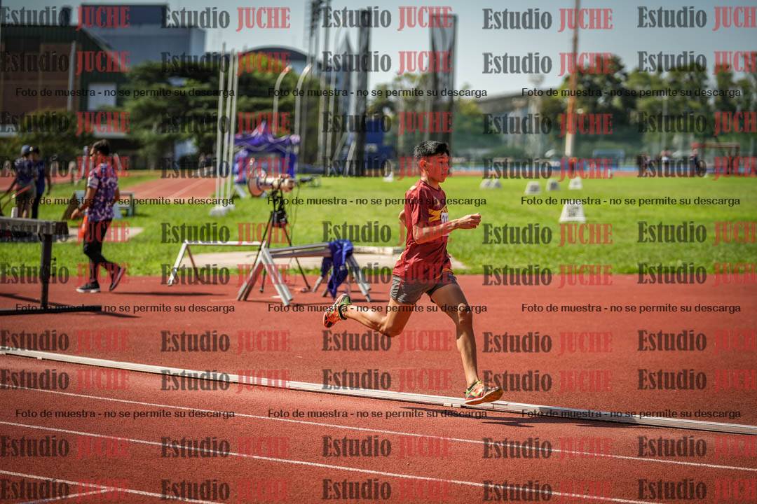 Fotos de los 800 m llanos de varones