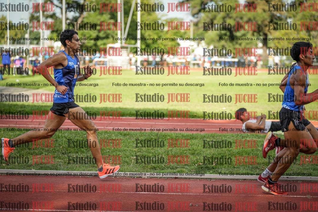 Fotos de los 5000 m llanos