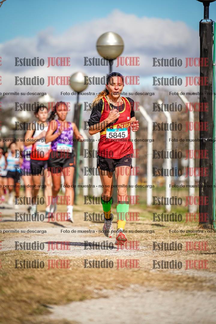 Fotos en el circuito