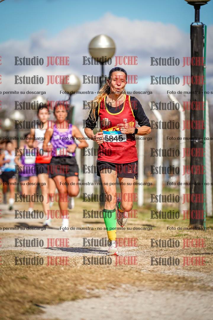 Fotos en el circuito