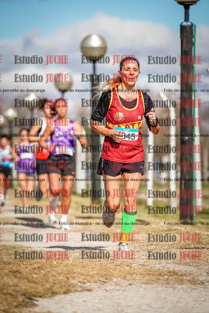 Fotos en el circuito