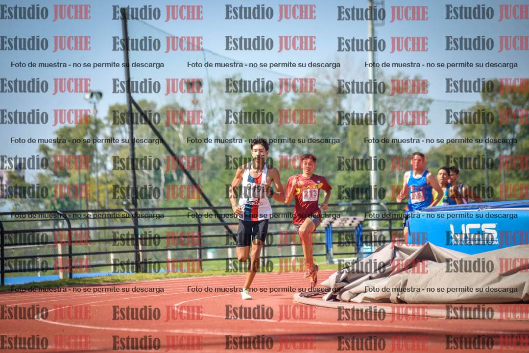 Fotos de los 800 m llanos de varones