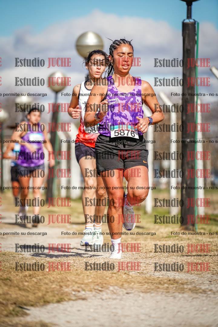Fotos en el circuito