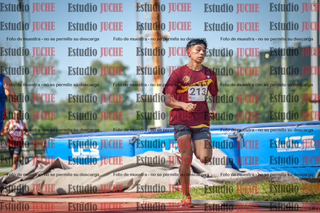 Fotos de los 800 m llanos de varones