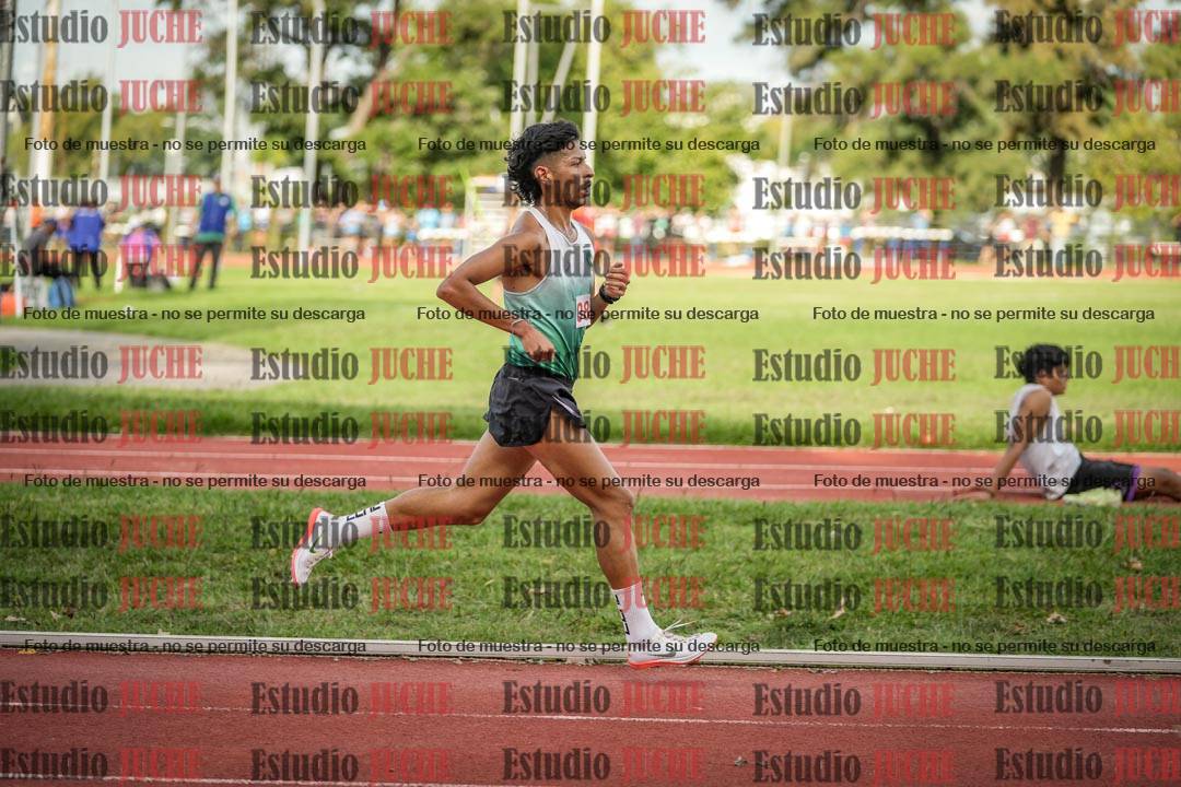 Fotos de los 5000 m llanos