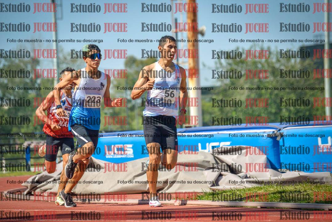 Fotos de los 800 m llanos de varones