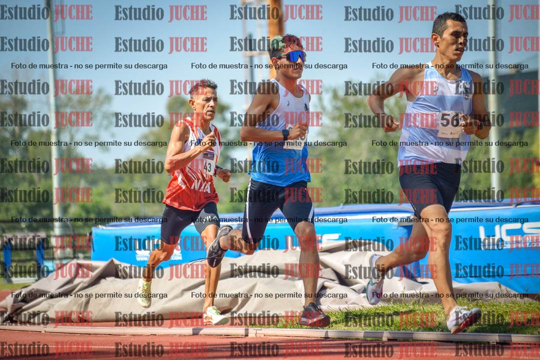 Fotos de los 800 m llanos de varones
