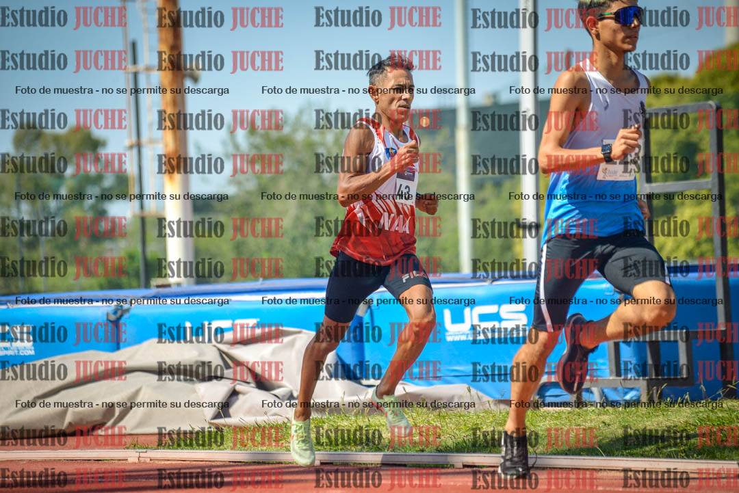 Fotos de los 800 m llanos de varones