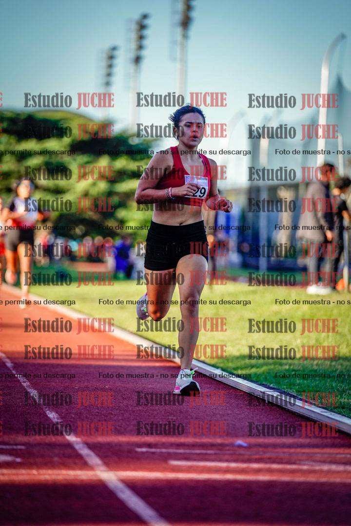 Fotos de los 1500 m de mujeres