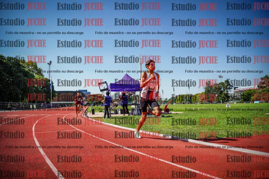 Fotos de los 800 m llanos de varones