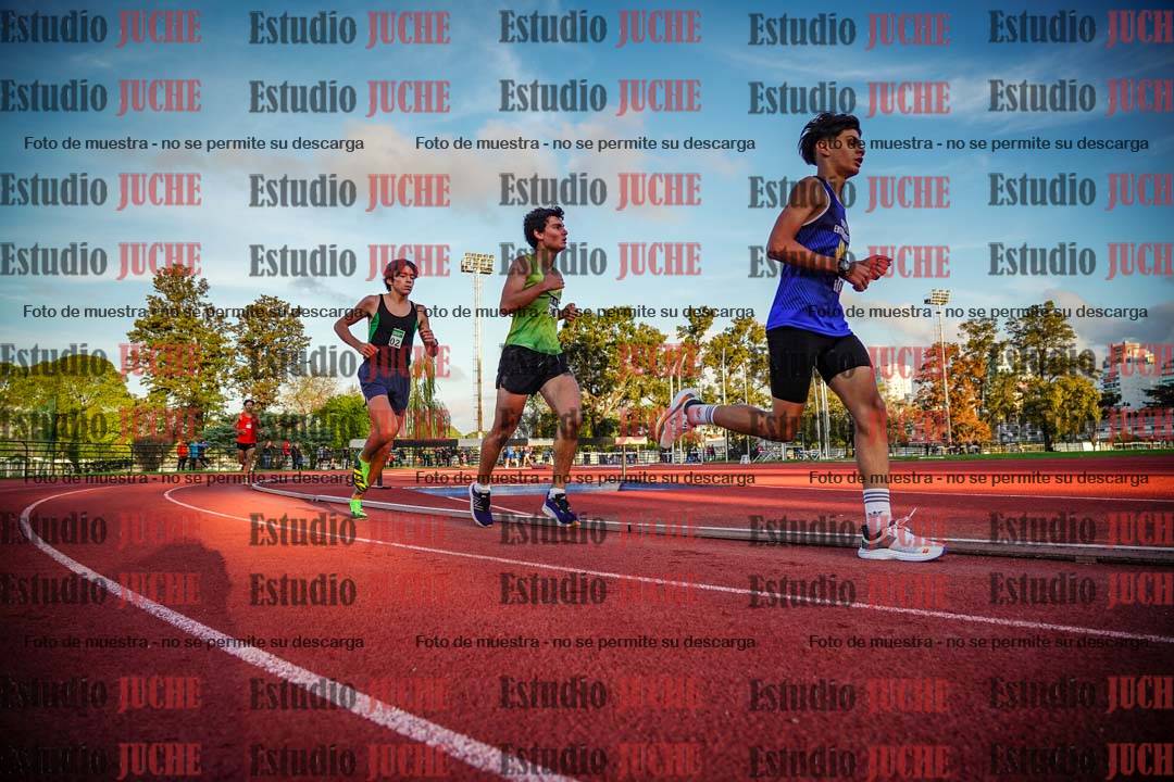 Fotos de los 3000 m llanos de varones
