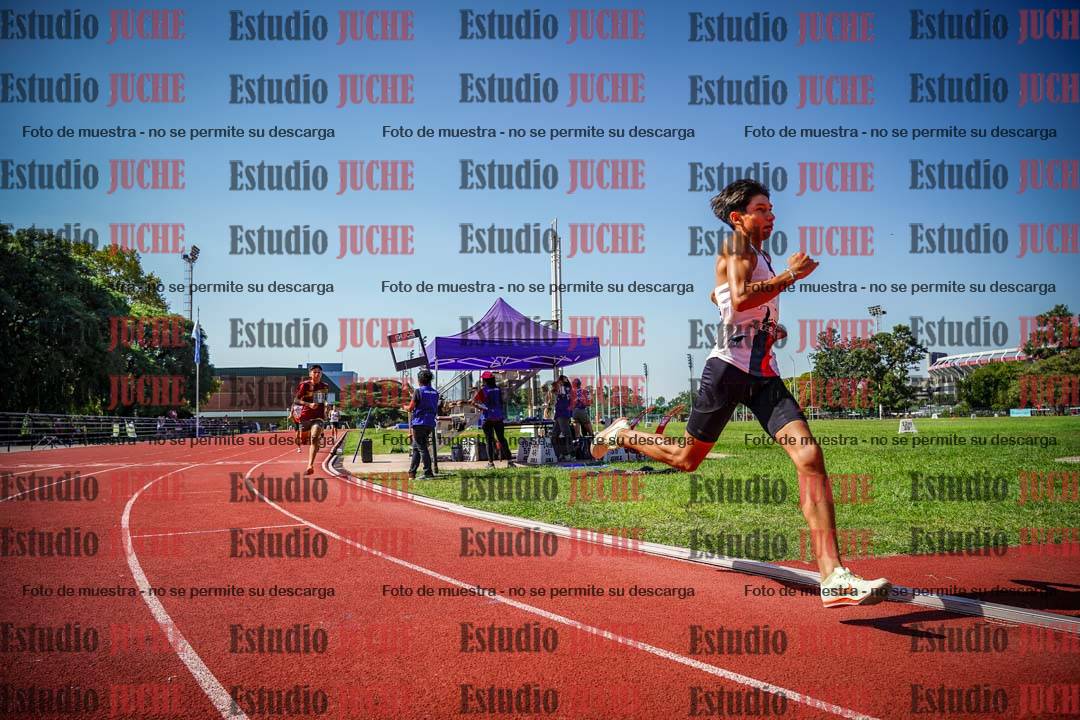 Fotos de los 800 m llanos de varones