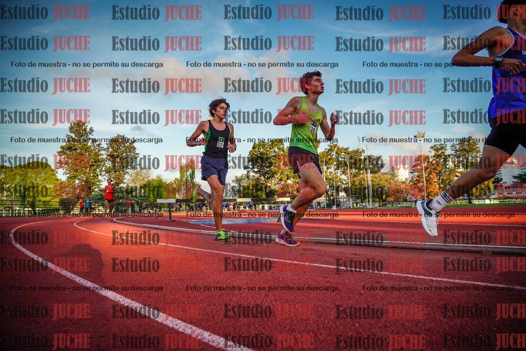 Fotos de los 3000 m llanos de varones