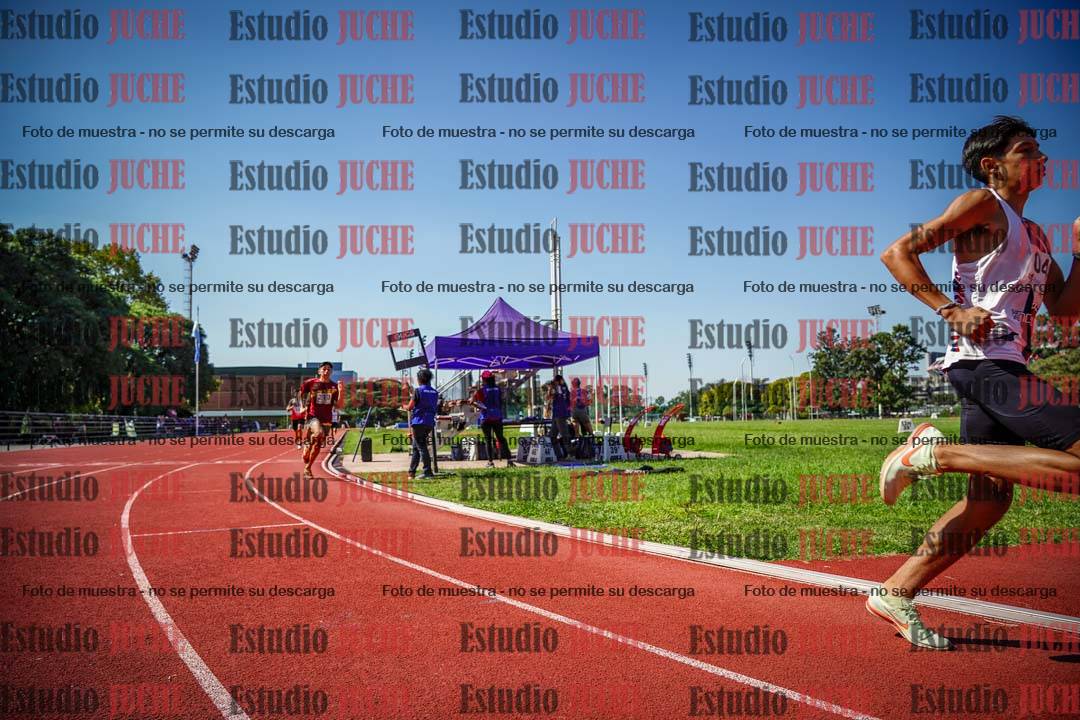 Fotos de los 800 m llanos de varones