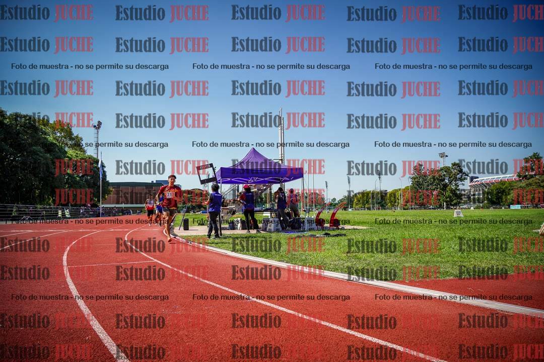 Fotos de los 800 m llanos de varones