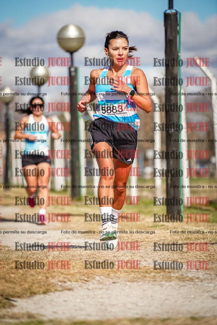 Fotos en el circuito