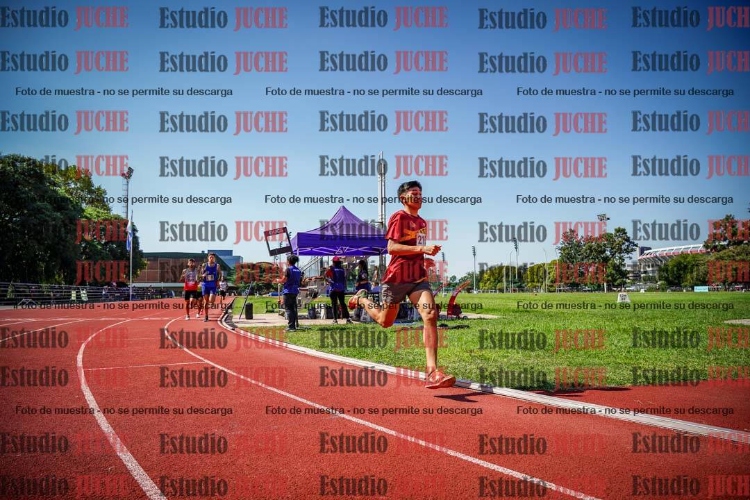 Fotos de los 800 m llanos de varones