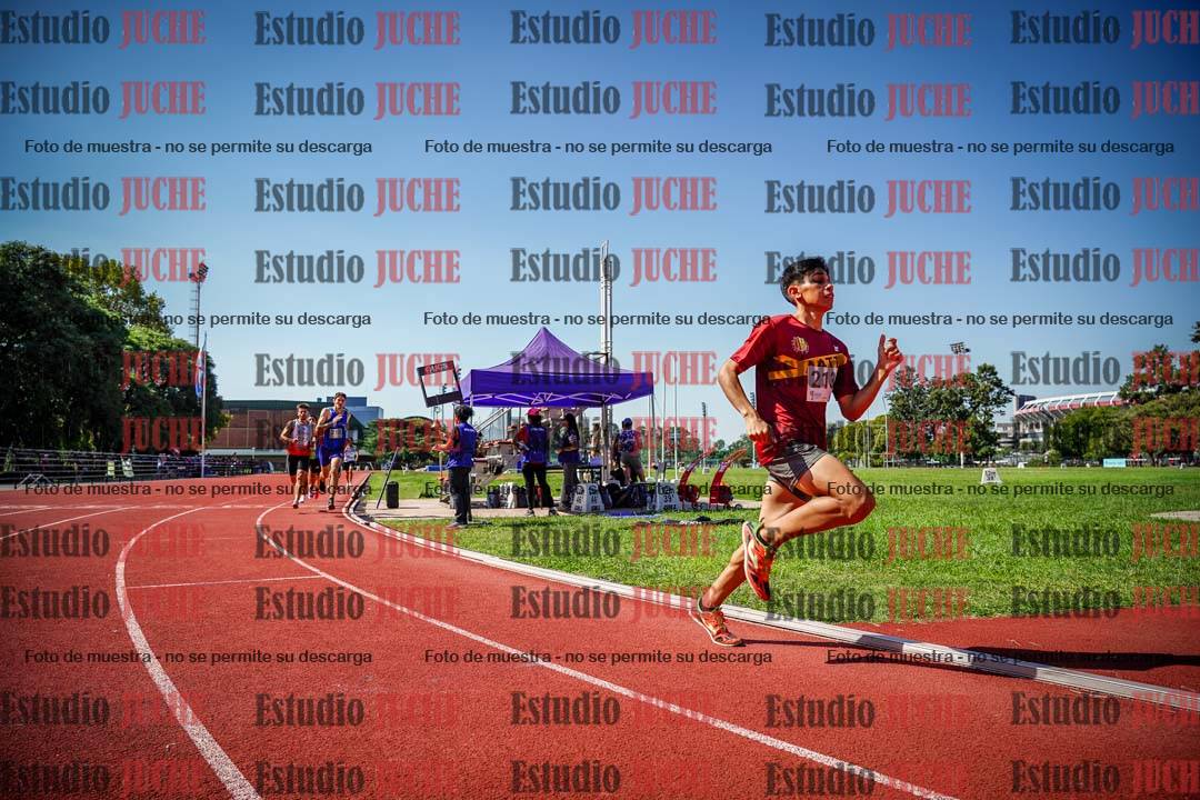 Fotos de los 800 m llanos de varones