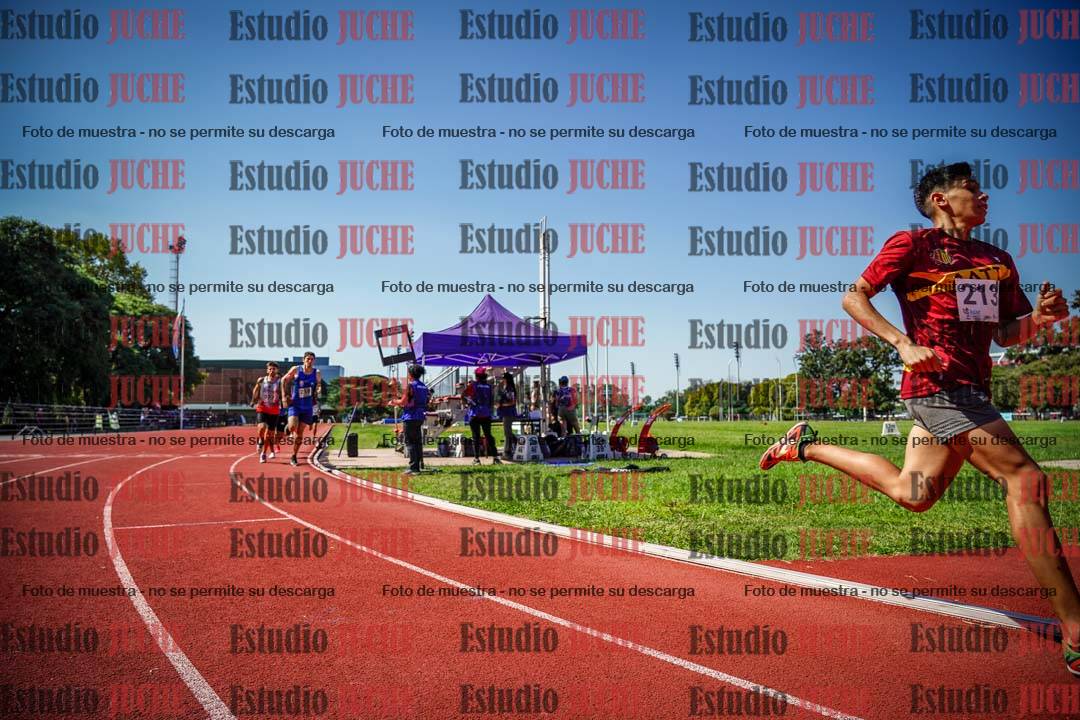 Fotos de los 800 m llanos de varones