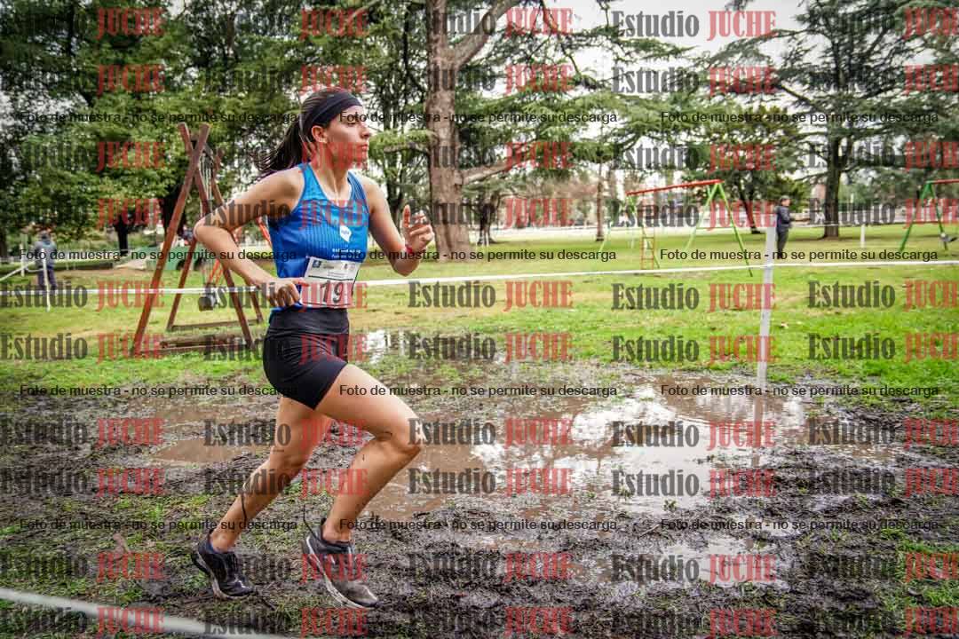 Fotos en el circuito