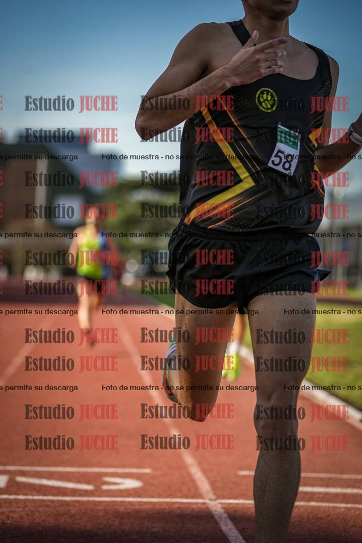 Fotos de los 3000 m llanos de varones