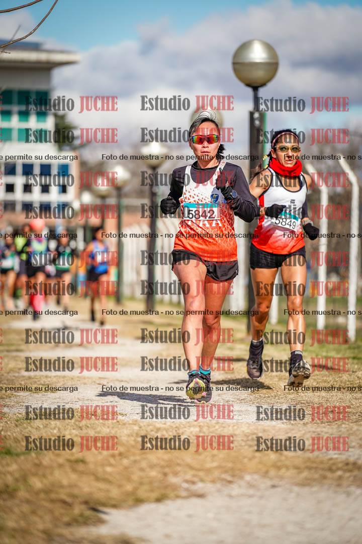 Fotos en el circuito