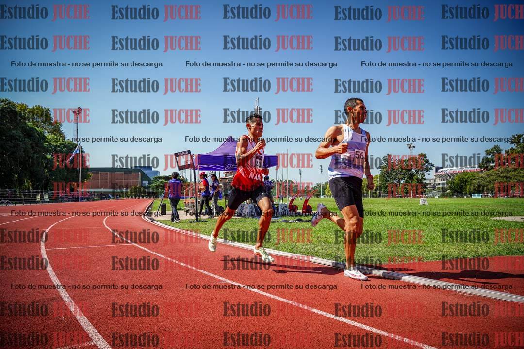 Fotos de los 800 m llanos de varones