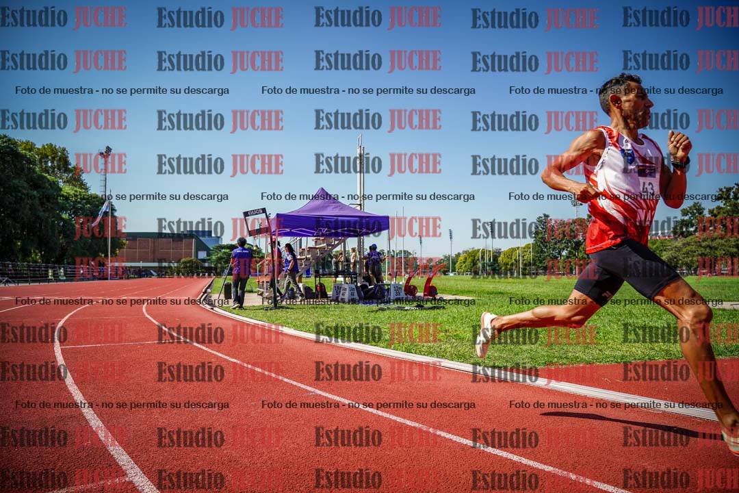 Fotos de los 800 m llanos de varones