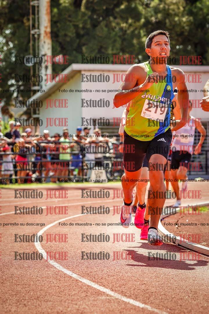 Fotos de los 800 m llanos de varones