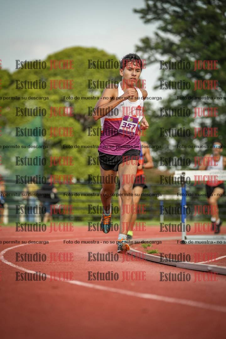 Fotos de los 3000 m llanos de varones