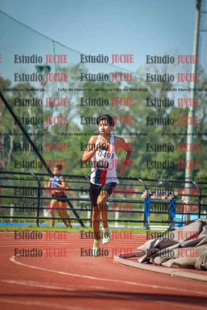Fotos de los 800 m llanos de varones