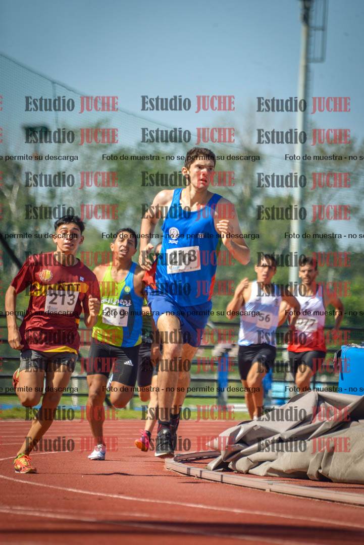 Fotos de los 800 m llanos de varones