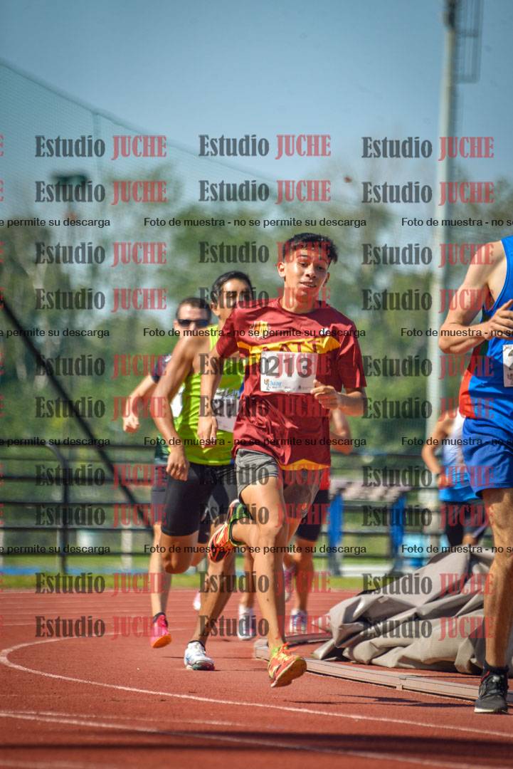 Fotos de los 800 m llanos de varones