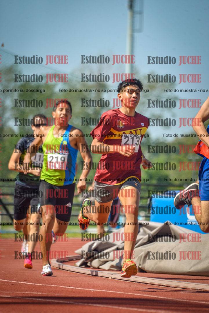 Fotos de los 800 m llanos de varones