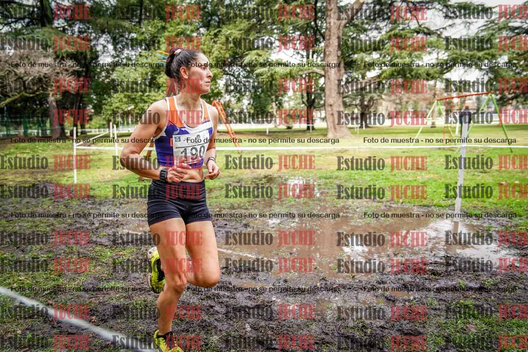 Fotos en el circuito