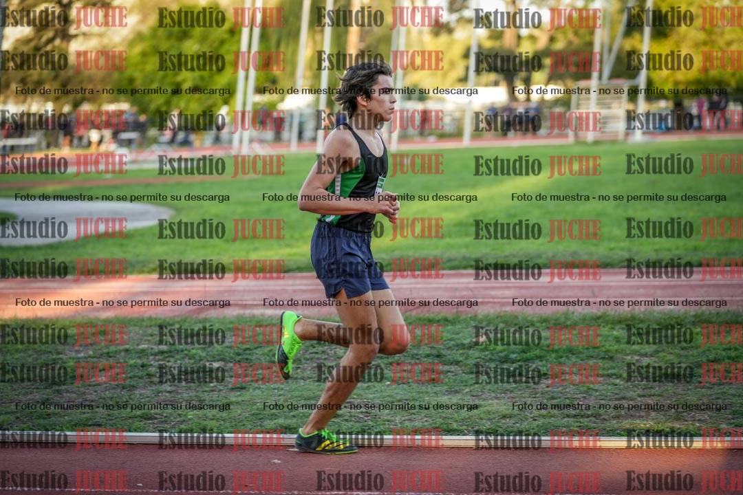 Fotos de los 3000 m llanos de varones