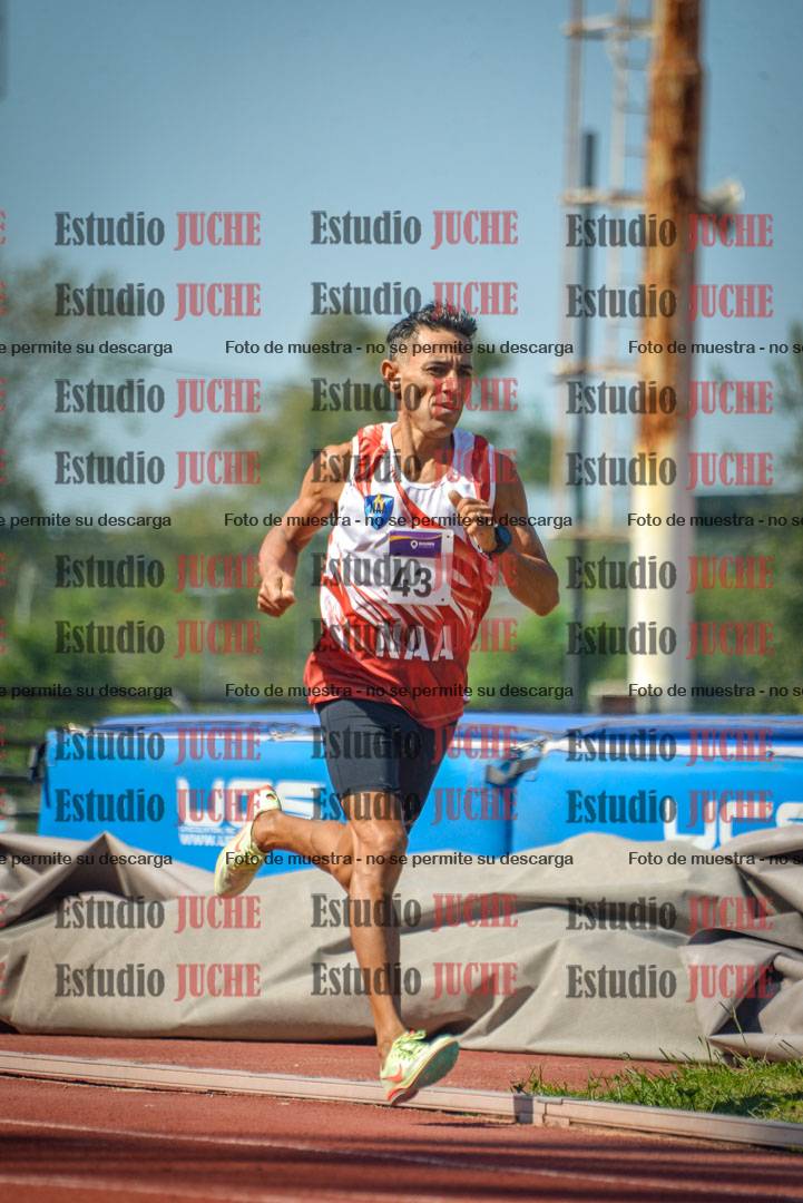 Fotos de los 800 m llanos de varones